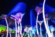 Luminous Festival | Lusail 2024 | Everything you need to know