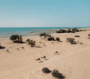 Umm Bab Beach Qatar