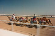 al-shahaniya-camel-race-track