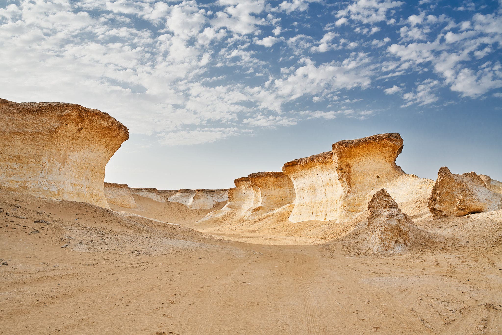 Al Reem Biosphere Reserve 