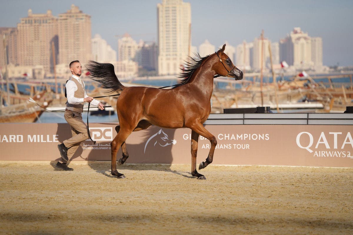 Global Champions Arabians Tour
