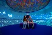 Bubble Planet | Билеты и информация