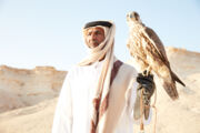 El halcón, el ave nacional de Catar