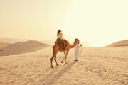 Discover the road less traveled in Qatar