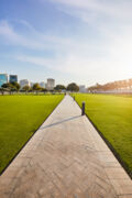 استمتع بالمساحات الخضراء في حدائق قطر 