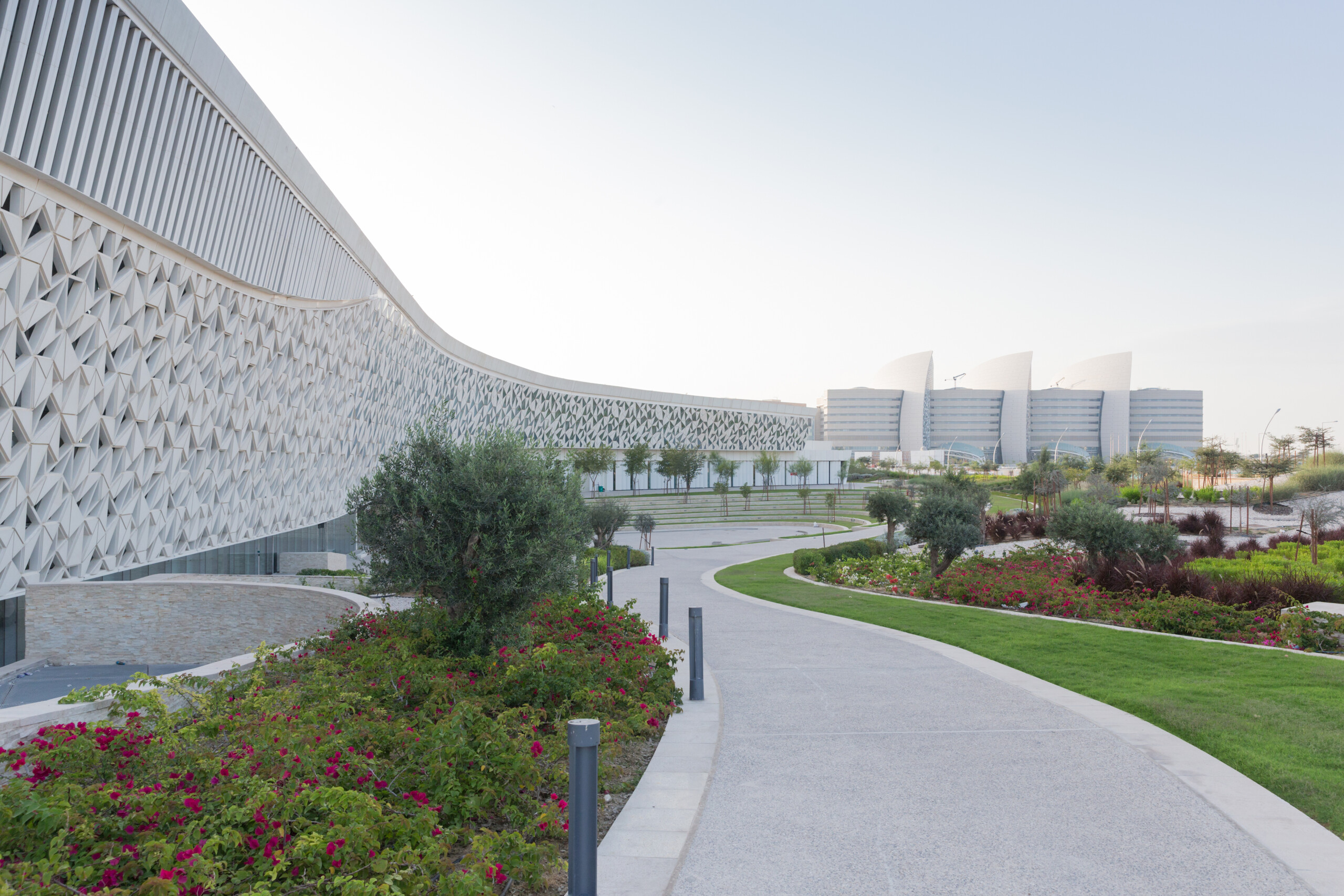 Weill Cornell Medicine - Qatar | Visit Qatar