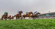 卡塔尔赛马和马术俱乐部 (Qatar Racing and Equestrian Club)