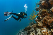 Scuba diving (for beginners)
