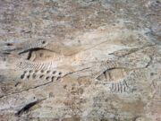 Sito con incisioni rupestri di Al Jassasiya