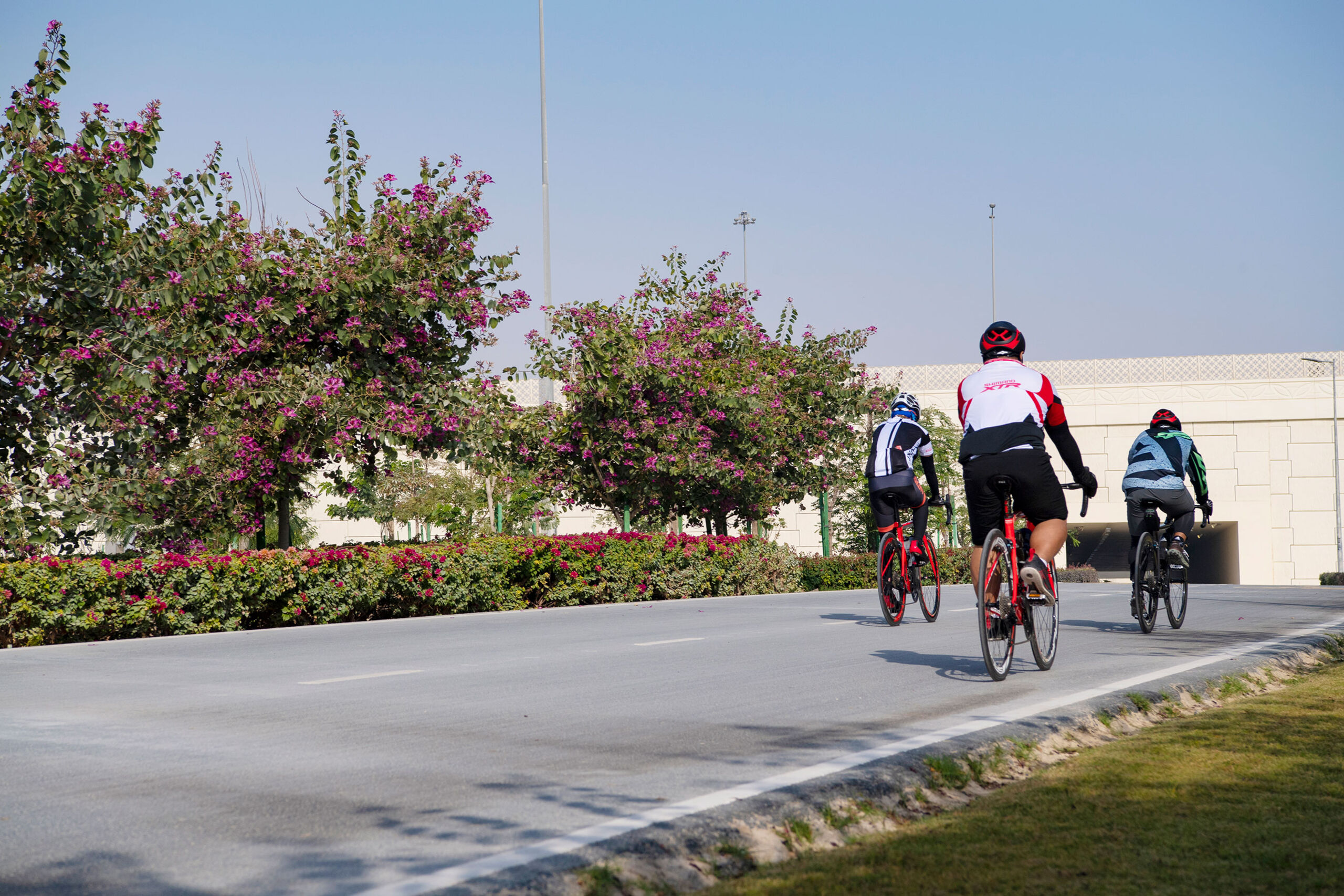 Cycling in Qatar Visit Qatar